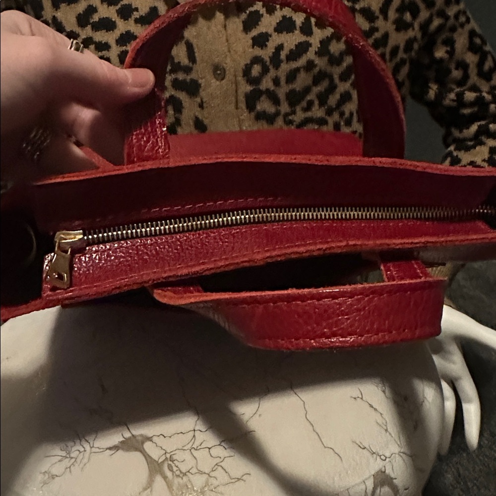 PLG mini chili 🌶️ crossbody bag with zipper and card holder - Picture 9 of 12